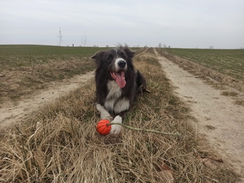 LIKER 5 Lumi, średnica 5 cm