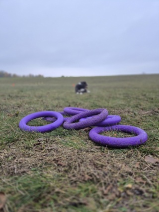 PULLER Standard do ćwiczeń dla psów (średnica 28 cm)