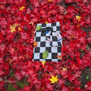 Etui na książeczkę zdrowia dla psa – ręcznie wykonane