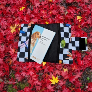 Etui na książeczkę zdrowia dla psa – ręcznie wykonane