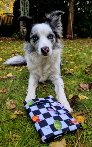 Etui na książeczkę zdrowia dla psa – ręcznie wykonane