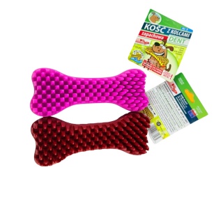 Kość Gryzak z Kolcami – 16 cm