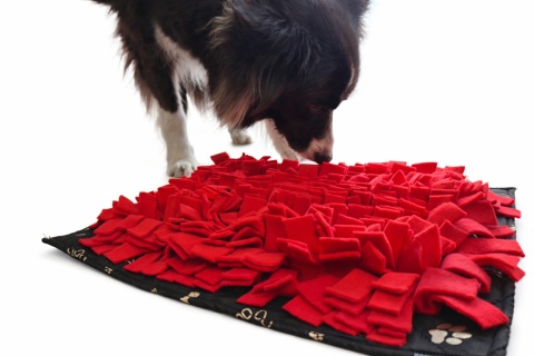 Mata węchowa CZERWONA