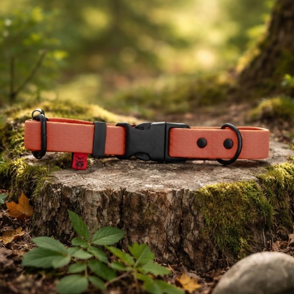 Obroża Hexa Morelowa Brandy