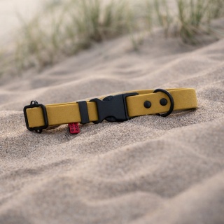 Obroża Hexa Złota – Kolory Jesieni