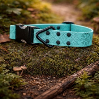 Obroża Hexa pastelowa-zieleń