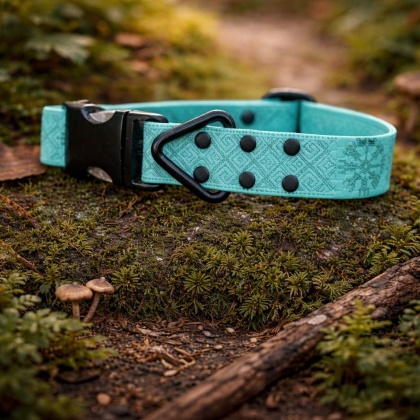 Obroża Hexa pastelowa-zieleń