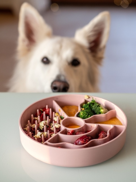 Slow fiboowl - brązowy