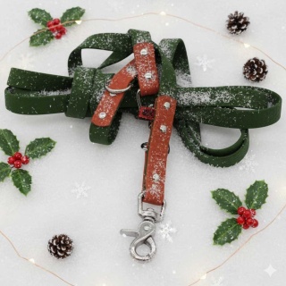 Smycz przepinana Hexa Jesienny Las – Kolory Jesieni