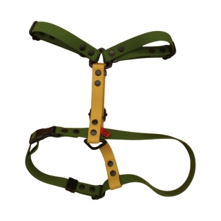 Szelki Guard Hexa Oliwkowo-Złote