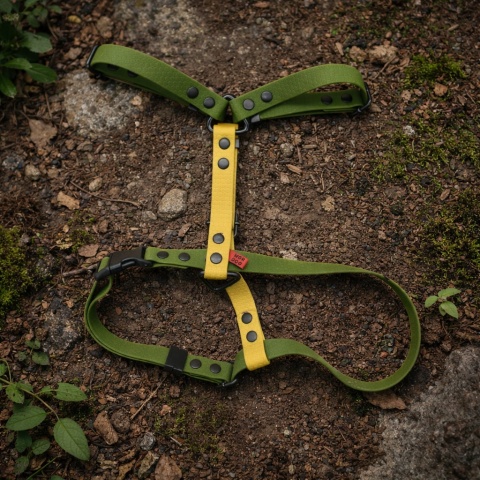 Szelki Guard Hexa Oliwkowo-Złote