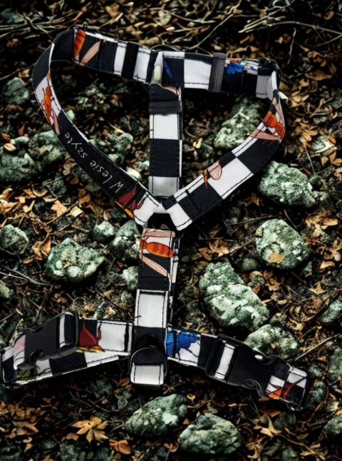 Szelki Guard „Leśna Krata”