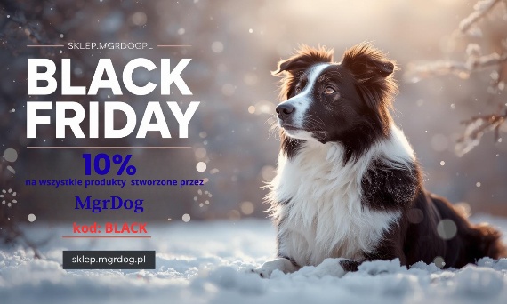 REGULAMIN PROMOCJI „BLACK FRIDAY”