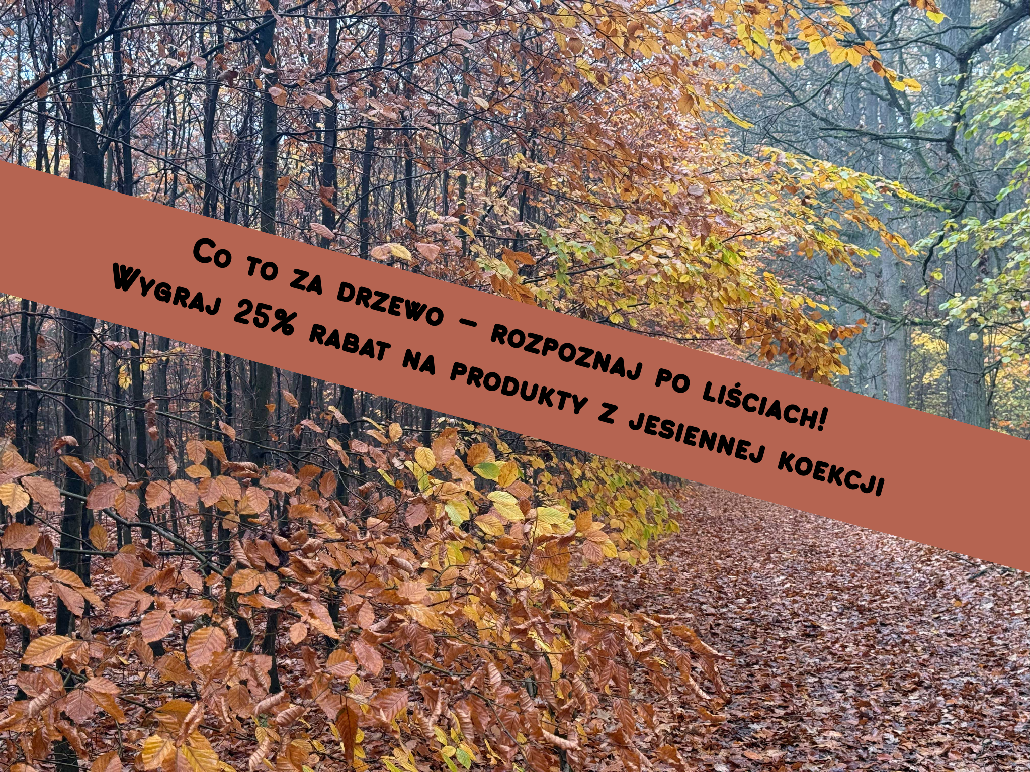 Ostatnia odsłona jesiennego konkursu MGR Dog!  Rozpoznasz to drzewo?