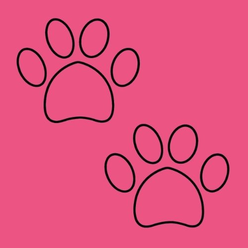 Różowy neonowy + PSIE ŁAPKI