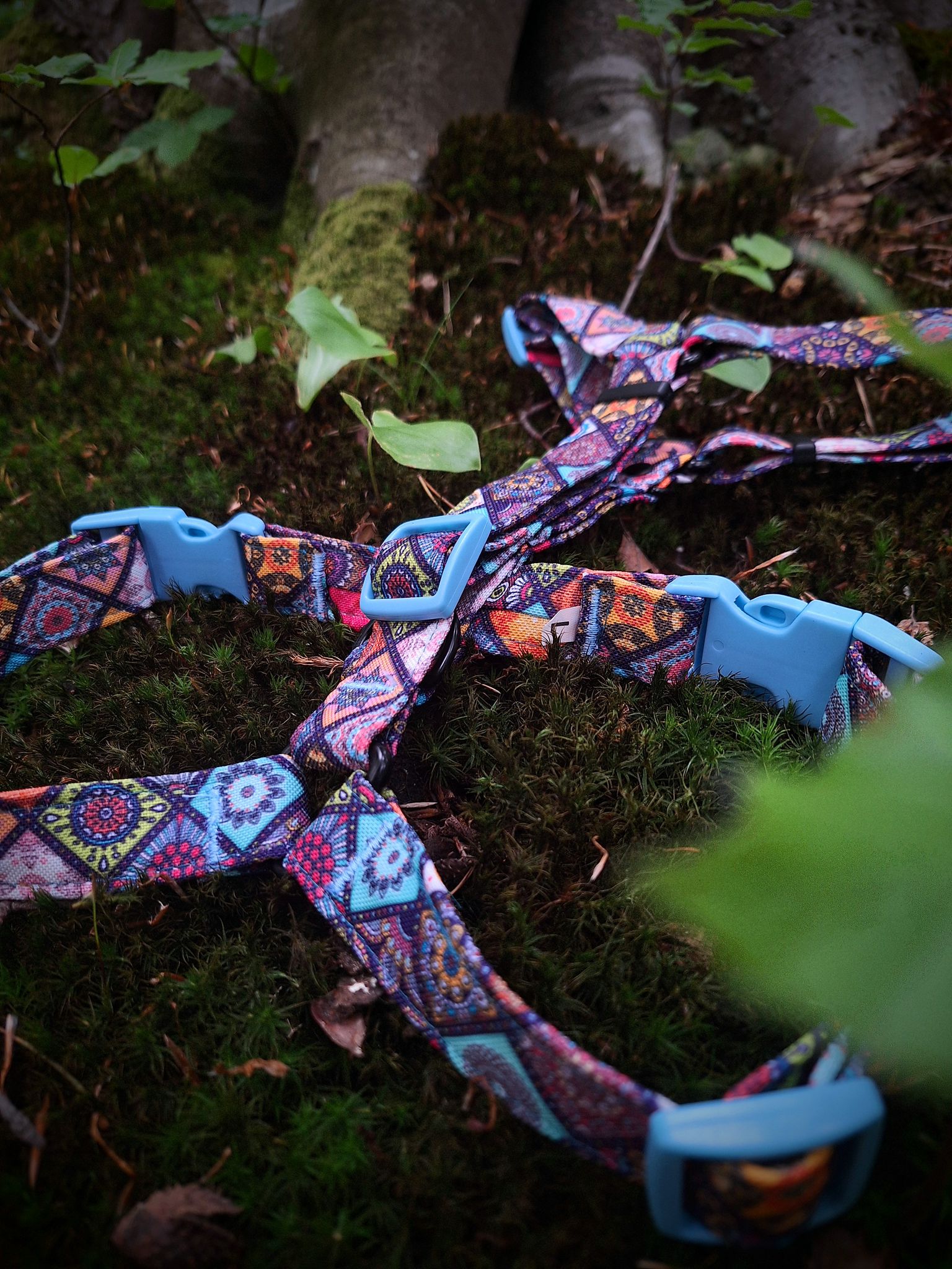 Jak wybrać idealne szelki na aktywne spacery w lesie?